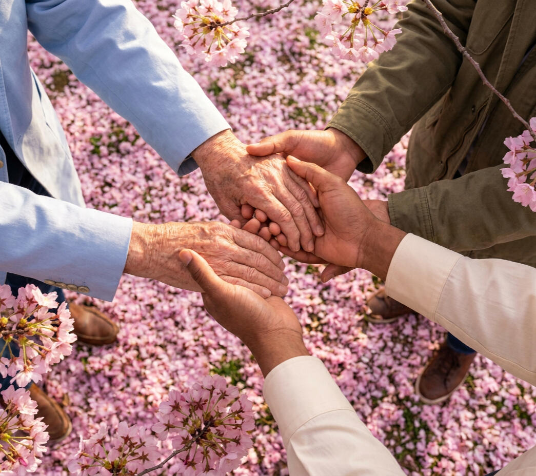 Diverse hands holding each other surrounded by cherry blossoms. Hands of diverse skin tones holding each other, surrounded by soft pink cherry blossoms.